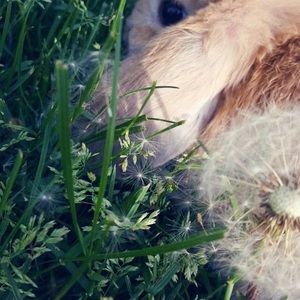 Meet your Posher, Leah